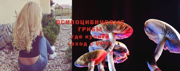 таблы Алзамай